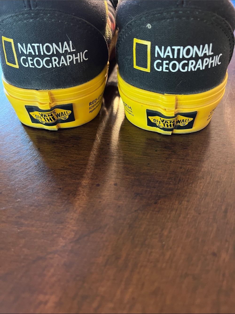 Vans National Geographic Black and Yellow Logo Canvas Sneakers